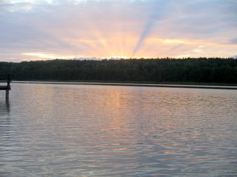 Zielun